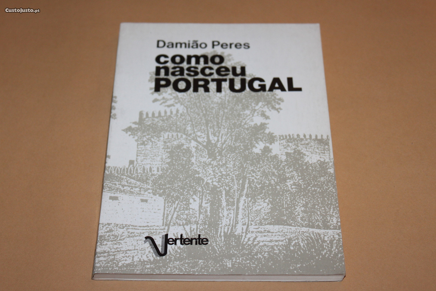 Como Nasceu Portugal // Damião Peres