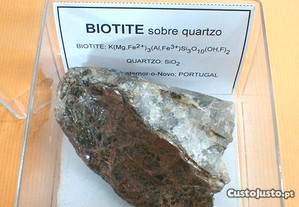 Biotite sobre quartzo 6x11x11cm-cx