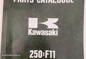 Kawasaki 250cc F11A