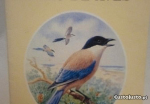 O meu primeiro livro de aves