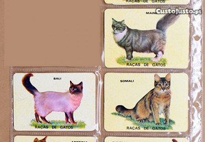 6 Calendários raças de gatos ano 1987