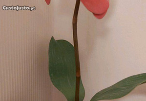 Vaso com orquídea artificial