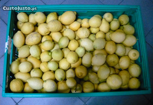Cabaz de limão - do Pinhão - Região do Douro