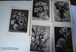 Coleção Postais: Flores