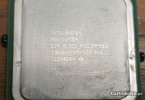 Processador Intel® Pentium® 4 524 3.06 ghz Socket 775 - Porto