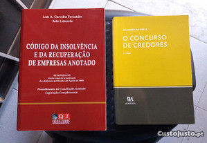 Obras de Luís A. C. Fernandes e Salvador da Costa