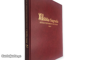Bíblia Sagrada (Antigo Testamento Ilustrado Tomo I) -