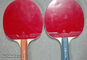 Raquetes e Bolas de Ping Pong da Artengo