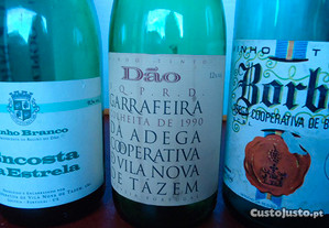 3 garrafas, vazias ( Vila nova de Tazem e Borba)