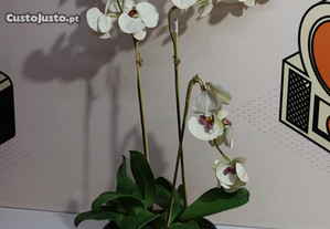 Vaso com Orquídea Artificial