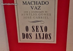 O sexo dos anjos, Júlio Machado Vaz