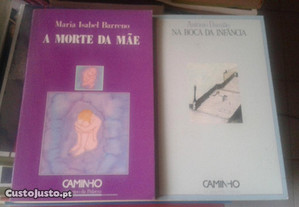 Obras de Maria Isabel Barreno e António Damião