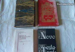 Diversos livros antigos Júlio Verne Dois anos de Férias 1888-A Biblia A Natureza Tomo 1- 1877