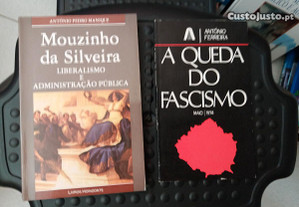 Obras de António Pedro Manique e António Ferreira