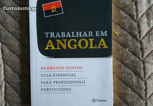 Trabalhar em Angola Hermínio Santos