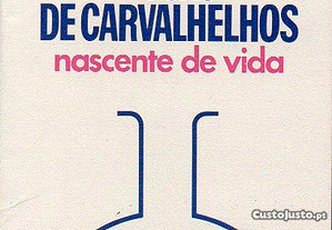 Carvalhelhos - desdobrável publicitário (c. 1970)