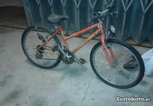 Bicicleta esmaltina usada