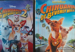 Chihuahua de Beverly Hills (2008/11)
