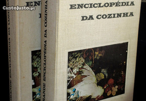 Livros Grande Enciclopédia da Cozinha Maria de Lourdes Modesto 2 Vol