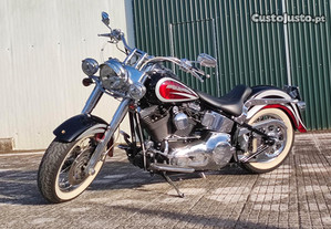 2011 Harley-Davidson softail