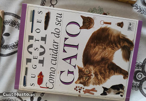 Poster Gato De Gatinho Laranja De Poema Cinto