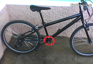 bicicleta (roda24)