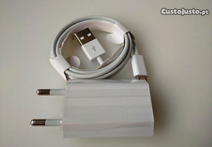 Carregador + cabo USB/Micro USB (novos)