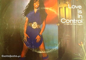 Vinyl, Donna Summer Love Is in Control