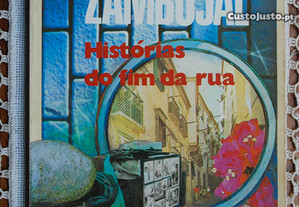Histórias do Fim da Rua de Mário Zambujal