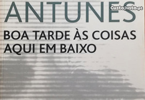 Livro - Boa Tarde às Coisas Aqui em Baixo - António Lobo Antunes