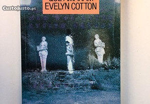 Os Homens que Amaram Evelyn Cotton 