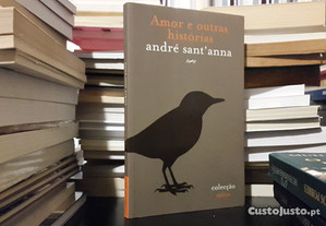 André Sant' Anna - Amor e outras histórias