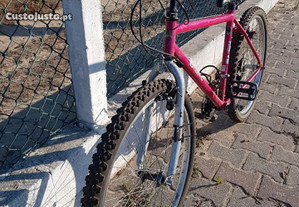 Bicicleta Bianchi roda 24