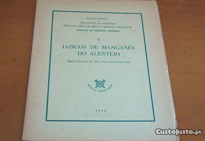 Jazigos de manganés do Alentejo : breve estudo da mina de Lagoas do Paço José Maria da Costa