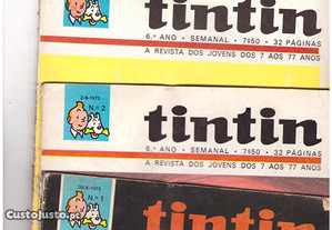 Revistas do Tintin