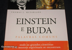 Livro Einstein e Buda Palavras Comuns Thomas J. McFarlane
