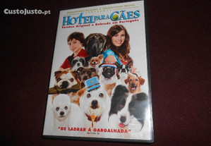 DVD-Hotel para cães