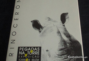 Postais O Rinoceronte Pegadas na Torre Bilhete Postal