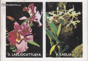 6 caixas fósforos (Orquídias) (completa)