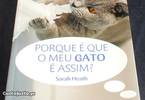 Poster Gato De Gatinho Laranja De Poema Cinto