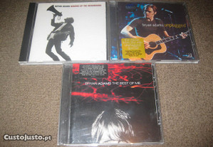 3 CDs do "Bryan Adams"/Portes Grátis
