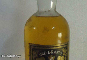old brandy neto costa