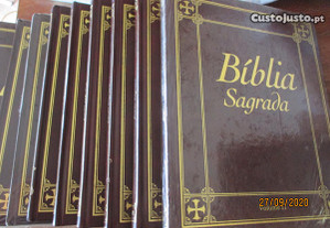 Biblia sagrada - 13 volumes