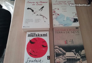 Haruki Murakami A rapariga que inventou um sonho