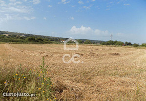Terreno agrícola de 4000m2,  freguesia da Quinta d