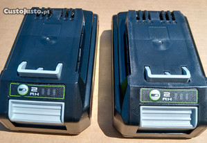 2 Baterias e Carregador Greenworks 24V