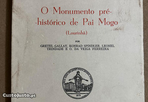 O Monumento pré-histórico de Pai Mogo