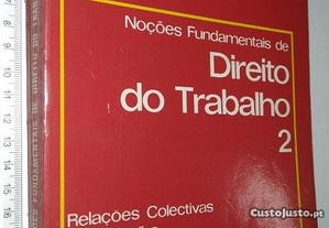 Noções Fundamentais de Direito do Trabalho (vol. 2) - António de Lemos Monteiro Fernandes