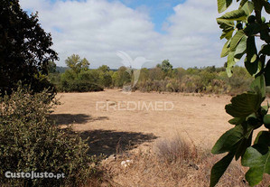 Terreno rústico com ruína de arrumos agrícolas e bom acesso a água
