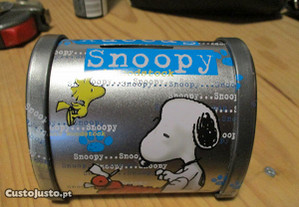 Mealheiro Snoopy em Chapa Espectacular Of.Envio